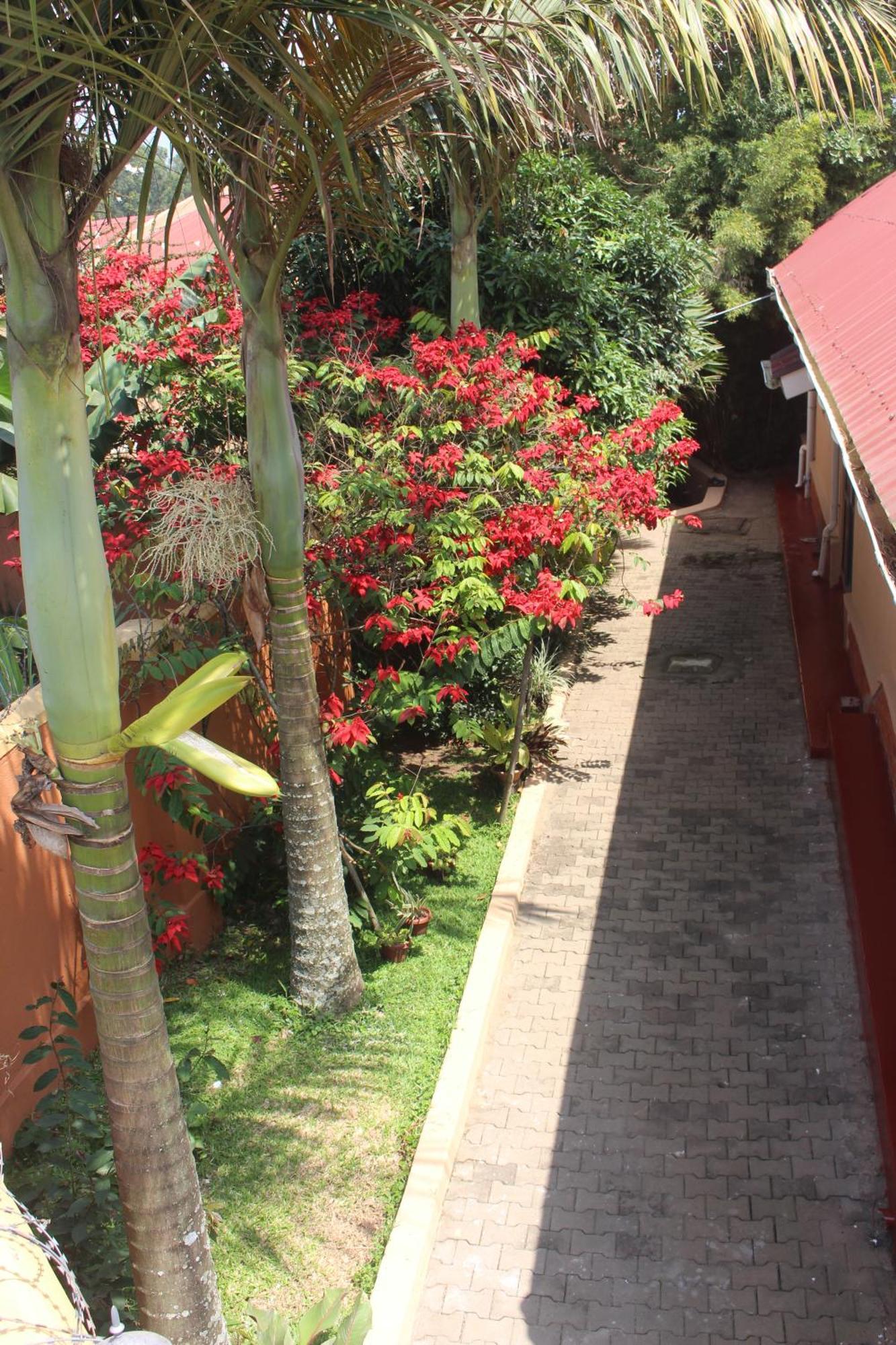 Montane Safaris Hotel Fort Portal Εξωτερικό φωτογραφία
